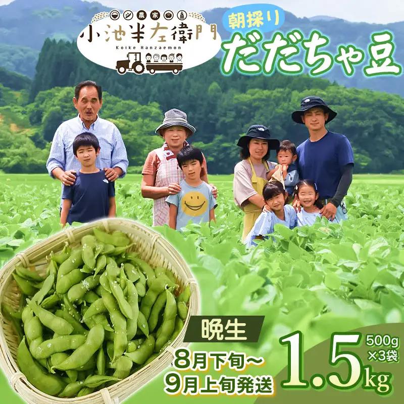 【令和8年産先行予約】朝採りだだちゃ豆 【晩生】1.5kg (500g×3袋) 枝豆　小池半左衛門