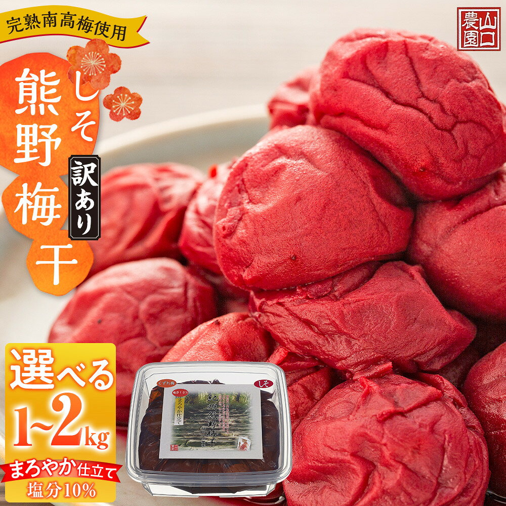 【ふるさと納税】【選べる内容量】完熟南高梅使用 くずれ梅 しそ熊野梅干 1～2kg 塩分10％ 訳あり まろやか仕立て | 上富田町 完熟梅 しそ風味 つぶれ梅 酸味しっかり 人気 おすすめ 梅 酢漬け 和歌山産 南高梅 ご飯のお供 おにぎり お弁当 常備品 お取り寄せ 送料無料