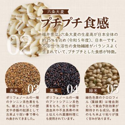 ふるさと納税 あわら市 そのまま炊けるこだわり雑穀ごはん 【無洗米】2kg |  | 03