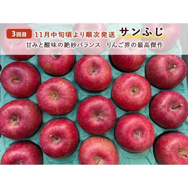 りんご 3種 サンつがる 紅玉 サンふじ 訳あり りんご【約5kg 14〜18玉】【定期便3ヶ月】