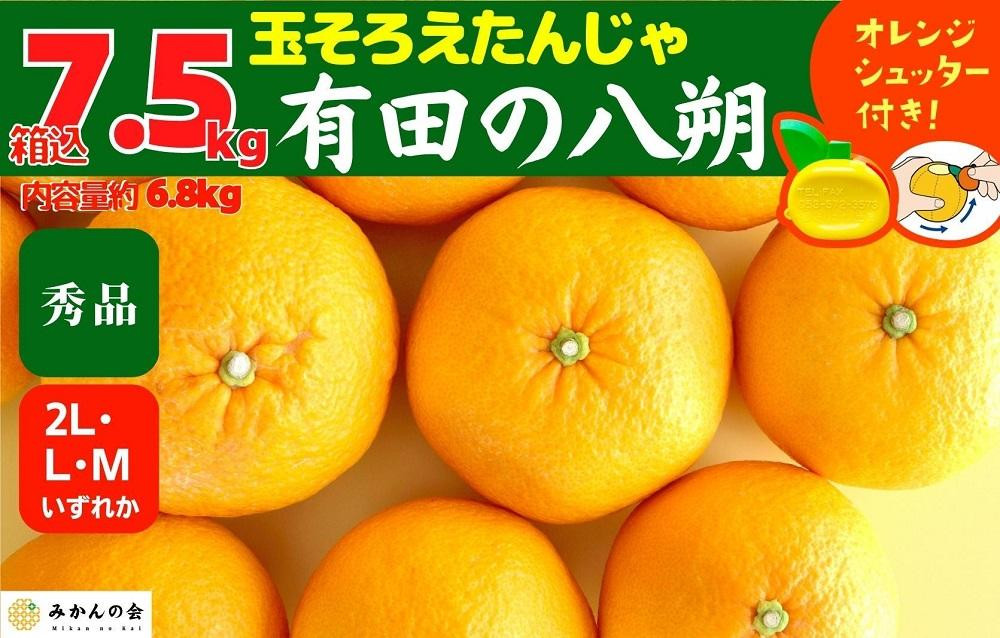 
八朔 (はっさく) 秀品 玉ぞろい 箱込 7.5kg(内容量約 6.8kg) 2L L Mサイズのいずれか 和歌山県産 産地直送【おまけ付き】【みかんの会】
