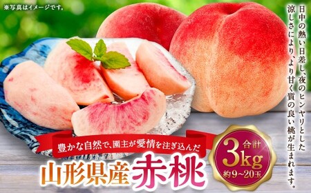 豊かな自然で、園主が愛情を注ぎ込んだ桃（赤桃） 約3kg （9玉～20玉） ご家庭用 果物 くだもの 夏果実 フルーツ 産地直送 【2026年8月順次発送予定】