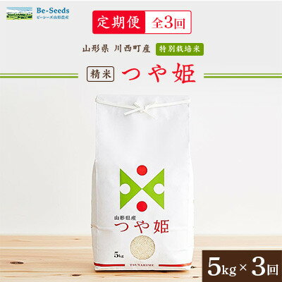 【ふるさと納税】【毎月定期便】山形県産特別栽培米「つや姫」5kg(5kg×1袋)全3回【4076718】