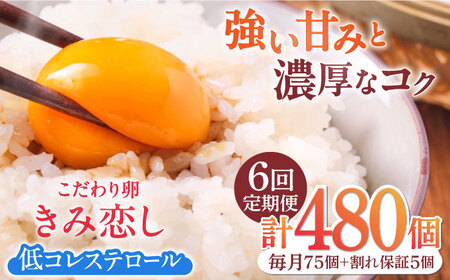 【6回定期便】きみ恋し 80個（75個+割れ保証5個）×6ヶ月 総計480個 広川町/伊藤養鶏場[AFAJ013]