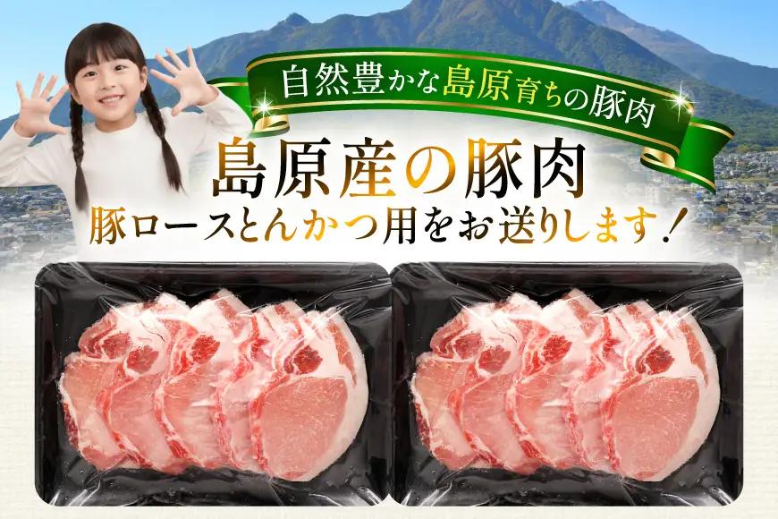 AK032 豚ロース とんかつ用 500g 2パック 計1kg