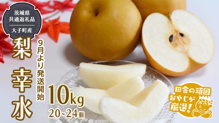 
            梨 幸水 10kg（20～24個 ）【2025年8月より発送開始】（茨城県共通返礼品 [梨]：大子町産）田舎の頑固おやじが厳選！
          