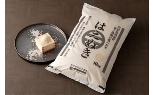 米 定期便 3回 令和7年産 はえぬき 10kg 計30kg [金子農園 山形県 高畠町 tk06ays950009] 精米 白米 米 お米 ブランド米 ごはん ご飯