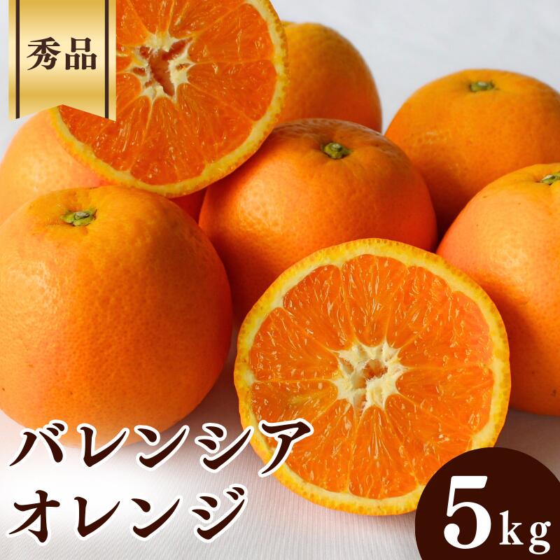 【ふるさと納税】 ＜先行予約＞バレンシアオレンジ【秀品】5kg ※2027年6月中旬～7月下旬頃に順次発送予定【期間限定・数量限定】 / 柑橘 季節限定 お取り寄せ 産地直送 贈答品 ギフト 果物 フルーツ 田辺市 和歌山県