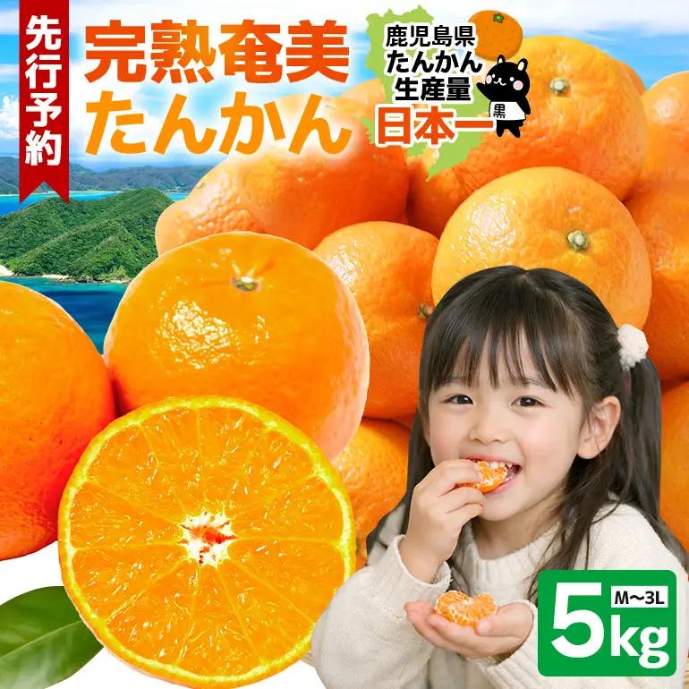 【 2027年 先行予約 】《 奄美大島産 》 おいしい 完熟 たんかん 光センサー選別 5kg A145-002 期間 数量 限定 柑橘 みかん 果物 フルーツ 旬 甘い 光センサー サイズ おまかせ 奄美大島 ピーラー付き フラスコ ふるさと納税 鹿児島 奄美市 おすすめ ランキング プレゼント ギフト