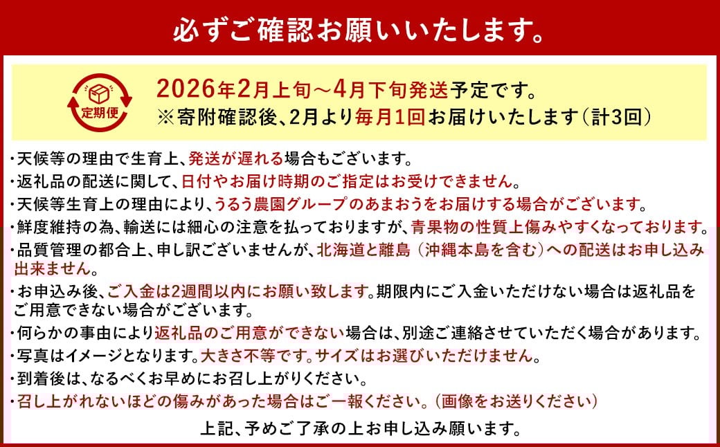 【3回定期便】 うるう農園のあまおう サイズ色々4パック