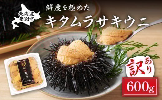 規格外品 キタムラサキウニ600g 100gパック × 6個 うに 高級 ウニ 雲丹 生ウニ 塩水 人気 ふるさと納税 北海道 登別市 ※2025年6月下旬～順次発送
