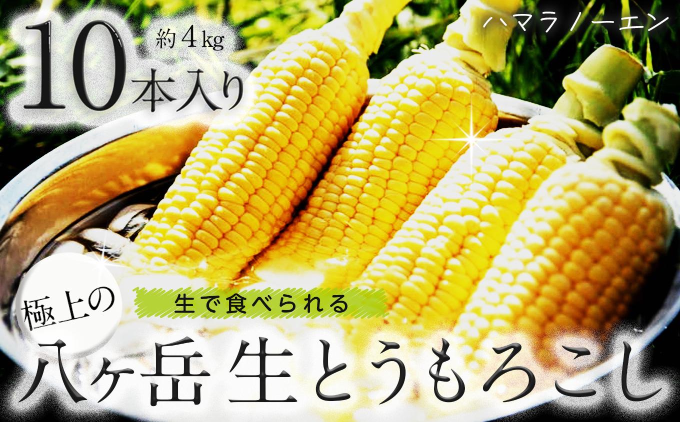 
                  生で食べられる極上の 八ヶ岳 生 とうもろこし 10本入り【2026年7月中旬～発送】| とうもろこし 生 生とうもろこし 野菜 新鮮 極上 信州 八ヶ岳 長野県 諏訪郡 原村
                