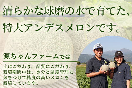 【2024年4月下旬以降発送分 先行予約】熊本県産 アンデスメロン 2玉 計約3kg  特大 果物 フルーツ 旬 ネット メロン 熊本県 多良木町 農家直送