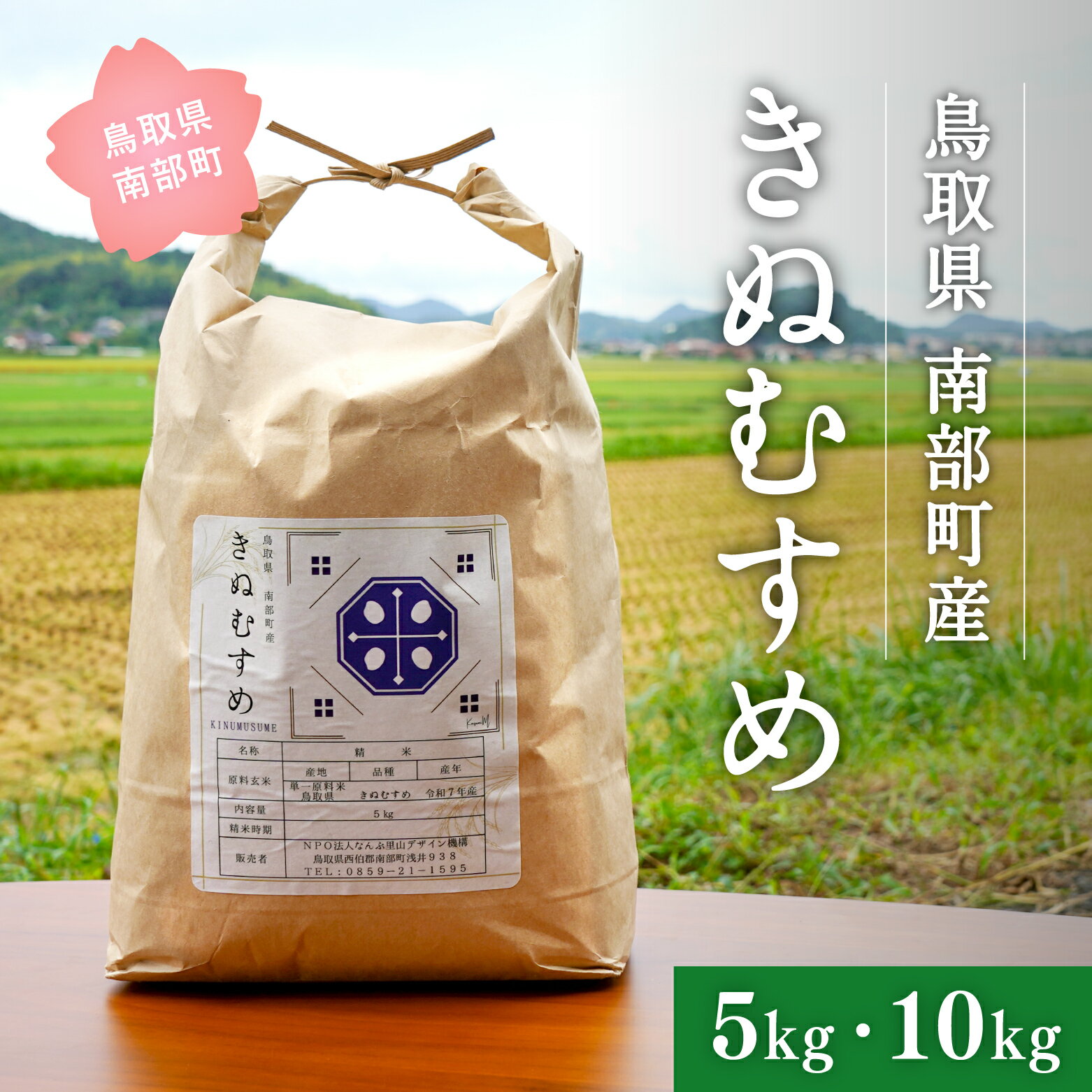 【ふるさと納税】＜新米・令和7年産＞鳥取県南部町産 きぬむすめ 5kg / 10kg 米 お米 こめ おこめ コメ 白米 精米 なんぶ里山デザイン機構