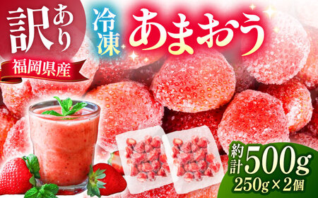 【訳あり】福岡県産 冷凍あまおう500g(250g×2個)　《豊前市》【株式会社木村食品】いちご 苺 イチゴ 取り寄せ[VEG011]
