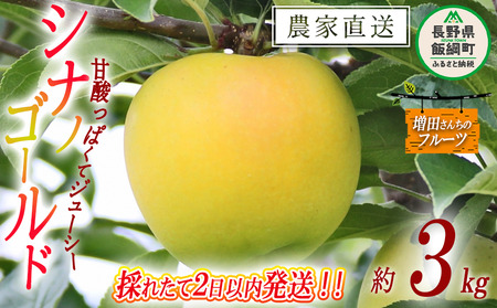 【 採れたて発送 】 りんご シナノゴールド 家庭用 3kg 採れたてを発送 増田ファーム 沖縄県への配送不可 2026年11月上旬頃から2026年12月下旬頃まで順次発送予定 令和8年度収穫分 信州 果物 フルーツ リンゴ 林檎 長野 予約 農家直送 長野県 飯綱町 [0596]