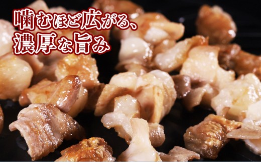 【定期便2回】希少な和牛ホルモン！ 熊本和牛 あか牛 ホルモン 500g (250g×2パック) × 2回 もつ鍋 焼肉 肉 牛肉 もつ コラーゲン 冷凍 小分け 熊本県 水上村