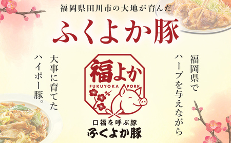 豚肉 ふくよか豚 切り落とし ふくよか豚切り落とし  3.6kg（300g×12パック） モモ ウデ モモ肉 ウデ肉 小分け 真空パック ブタ肉 ぶた肉 生姜焼き 焼きそば 豚汁 冷凍 福岡県 福岡 