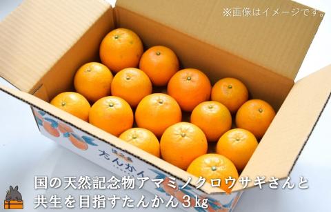 《限定受付》フルーツアイランド徳之島 フルーツ定期便 ( 3回お届け 完熟マンゴー マンゴー パッションフルーツ たんかん 柑橘 果物 徳之島 奄美 鹿児島 定期便 世界自然遺産 旬 )