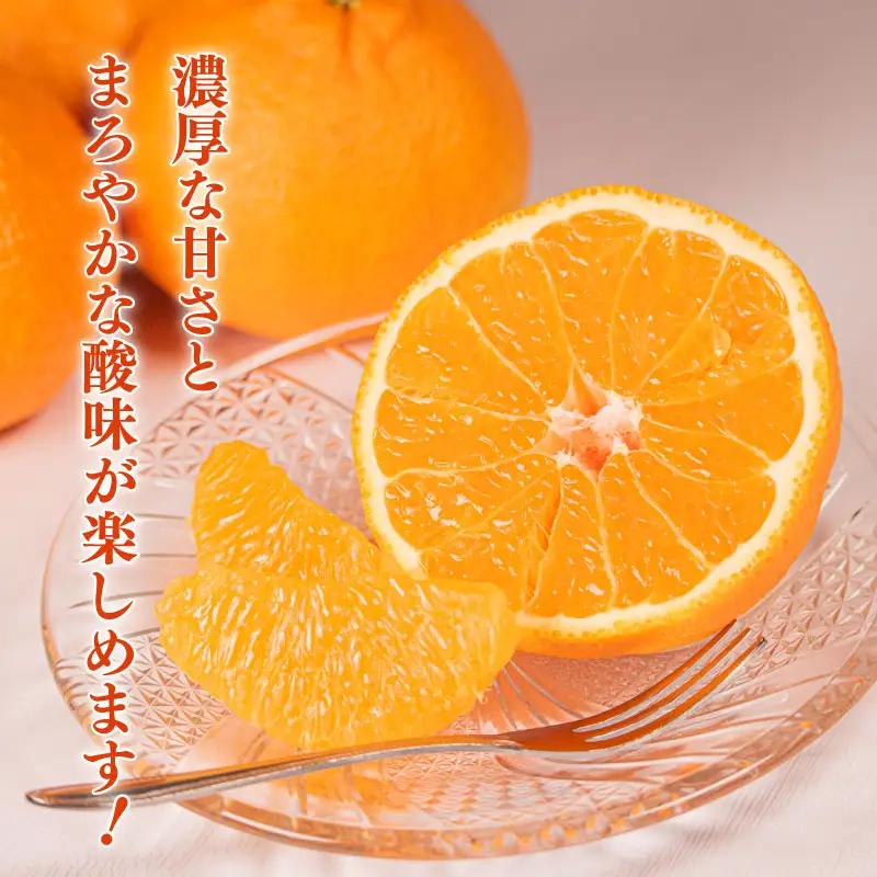 【不知火】 不知火 11～12個 アサヒ農園 【ASHN_002】