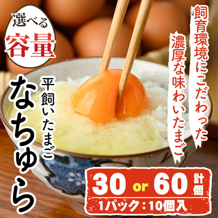 【ふるさと納税】＜容量が選べる！＞平飼い卵 なちゅら(計30個 or 60個) 卵 玉子 鶏卵 卵かけご飯 玉子焼き 【108800400・108800500】【カジワラファーム】