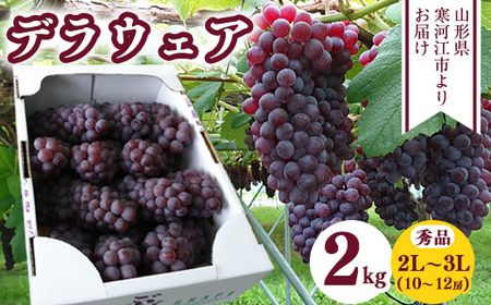 種なし ぶどう「デラウェア」2kg 秀品 2L～3Lサイズ（10～12房）《2025年7月下旬頃～8月上旬頃発送予定》　013-B-CS007