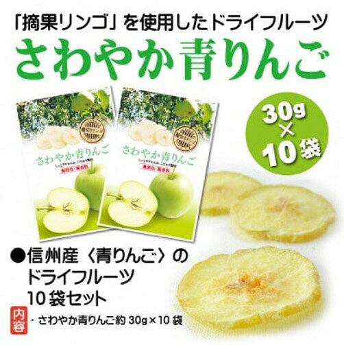 【ふるさと納税】さわやか青りんご 30g×10袋【配送不可地域：離島】