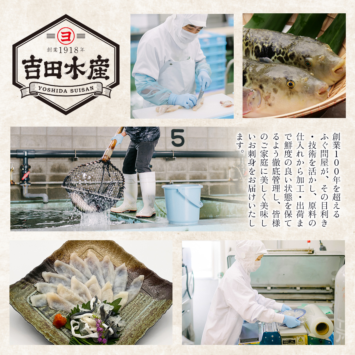 とらふぐ刺身セット(9～10人前)　AE012