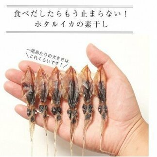 【1月以降順次発送】越中氷見屋　ホタルイカ 素干し 18尾入り × 11袋　【魚貝類・加工食品・イカ・ホタルイカ】_イメージ2
