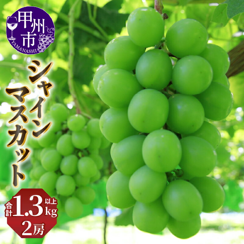 【ふるさと納税】 シャインマスカット 2026年 先行予約 1.3kg以上 2房 9月 10月 発送 大粒 完熟 フルーツ 果物 ぶどう 葡萄 期間限定 贈答 ギフト 家庭用 山梨県 甲州市 社員マスカット （NSF） 【B11-960】
