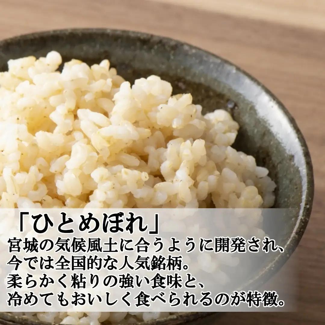 【令和7年産米】蔵王産ひとめぼれ10kg（玄米）／ 米 ごはん ご飯 玄米 食べくらべ 5kg 10kg 2025年産 令和7年産 新米 東北 宮城県産 蔵王産　【04301-0242】