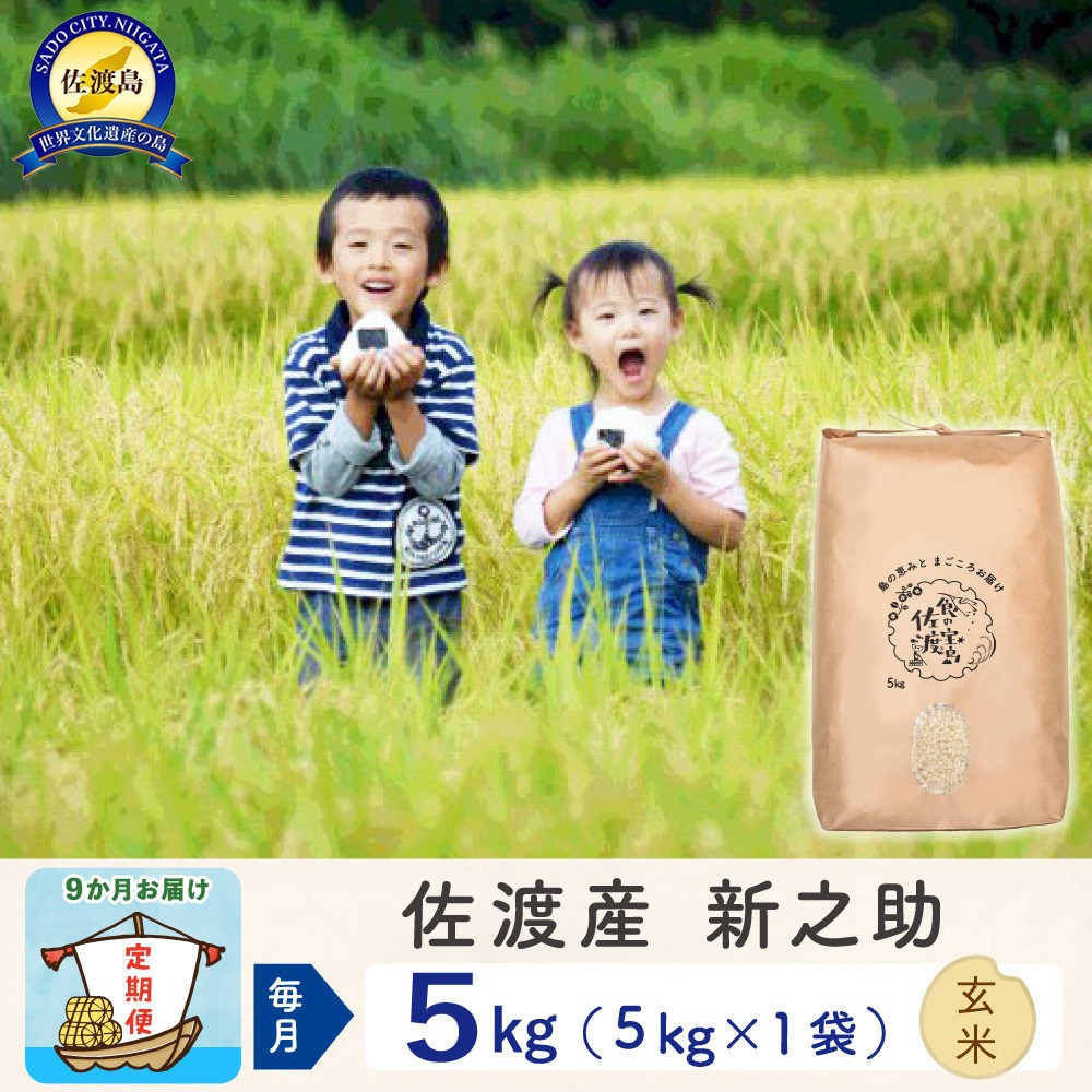 【令和8年産新米 9ヶ月】佐渡島産 新之助 玄米 5kg195962-5443