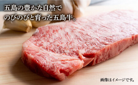 【全6回定期便】五島牛 サーロインステーキ500g 牛肉 長崎和牛 焼肉 五島市 / ニク勝 [PBF016]