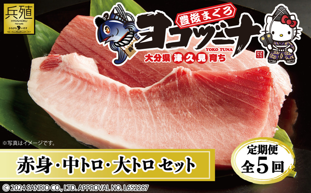【定期便5回】豊後まぐろヨコヅーナ贅沢セット全5回 | 鮪 刺し身 刺身 津久見市