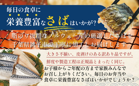 訳あり 塩サバ切身 約500g ノルウェー産 冷凍 鯖 鯖  大一奈村魚問屋