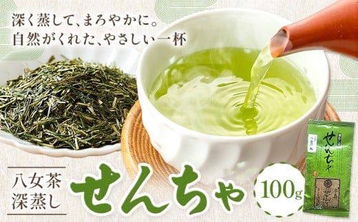 八女茶 深蒸し 茶煎茶 100g 株式会社ＪＳＥ《30日以内に出荷予定(土日祝除く)》 福岡県 小竹町 お茶 煎茶 深蒸し茶 お茶 茶葉 お茶の葉 お茶葉 煎茶 国産 日本茶 飲物 飲み物 飲みもの のみもの