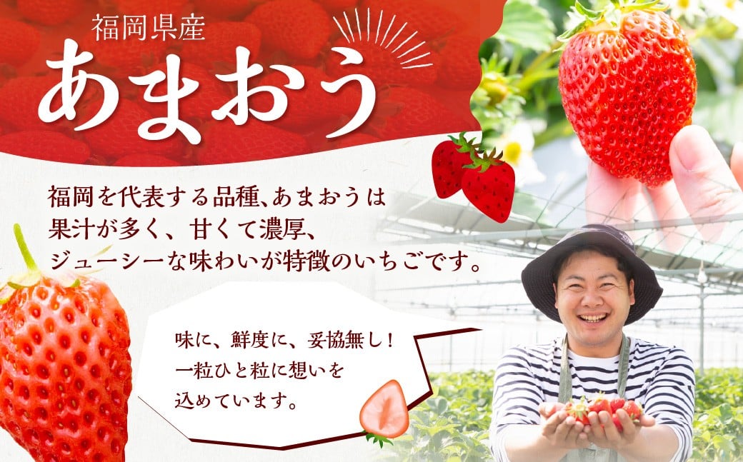 よかもんいちごの朝採りあまおういちご 約700g