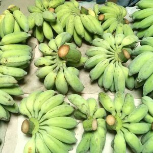 バナナ ムッチリ食感！沖縄県産アップルバナナ 2kg  BCBH001 フルーツ