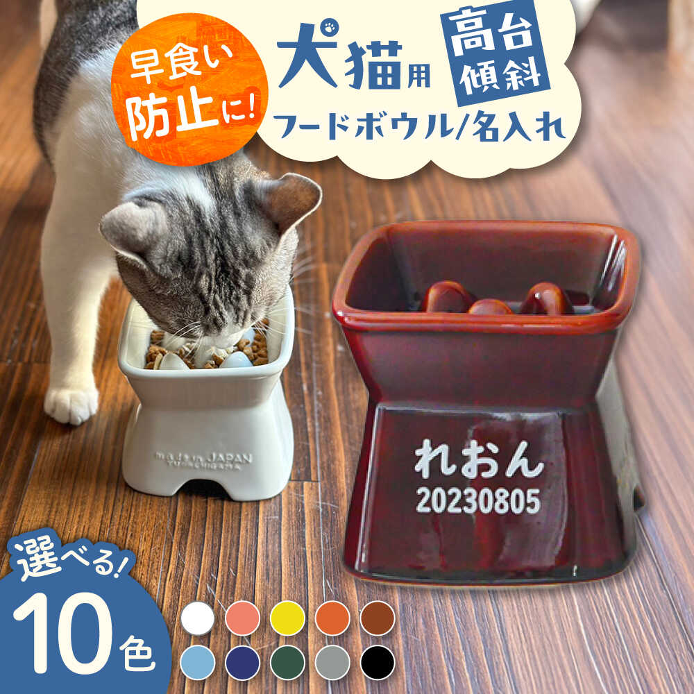【ふるさと納税】【美濃焼】 名入れ / 色が選べる 陶器製ペット用フードボウル 名入れ 早食い防止 name&number 高台傾斜 pet169 瑞浪市 / ながしまプランニングオフィス エサ入れ 餌皿 犬 猫[AZBM192]