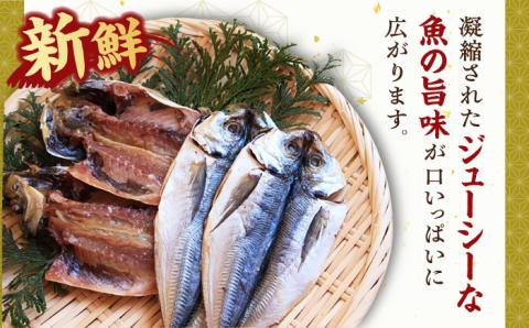 壱岐島 干物・海産物セット 【秋桜】 [JCT001] 10000 10000円 干物 ひもの 朝食 みりん干し アジ 鯵 アジの開き 開き 丸干し うに ウニ飯