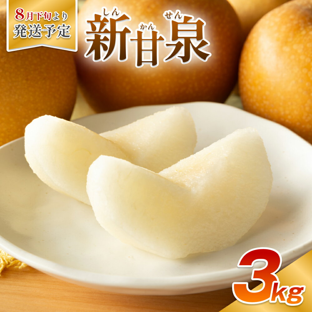 【ふるさと納税】【先行予約】安田農園 梨 ”新甘泉” 3kg箱｜鳥取 梨 なし 和梨 ナシ 新甘泉 果物 くだもの 旬 フルーツ 甘い デザート 数量限定※お届けは2026年8月下旬頃～【41030】