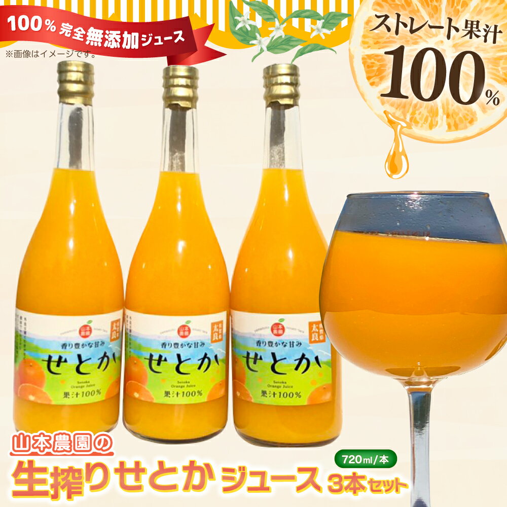 【ふるさと納税】山本農園の生搾りせとか　3本セット 飲料 オレンジジュース ジュース みかん 生搾り 佐賀県 太良町 NC13