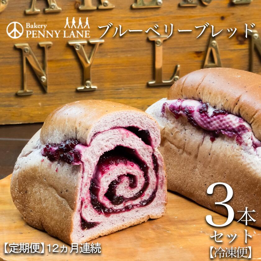 【ふるさと納税】【12ヵ月定期便】ペニーレインのブルーベリーブレッド3本セット | 茨城県 つくば市 パン パン屋 茨城県 つくば市 ブルーベリー 冷凍パン お取り寄せ 人気 おすすめ ベーカリー グルメ プレゼント レストラン ドッグラン 冷凍 冷凍便 定期便
