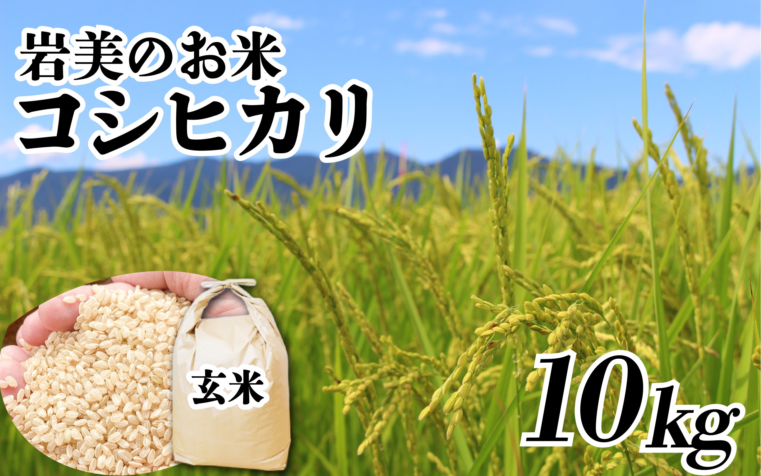 
                  【令和8年産 先行予約】鳥取県岩美町産コシヒカリ（玄米）10kg｜鳥取 岩美 吉田美宝農園 こしひかり 【31033】
                