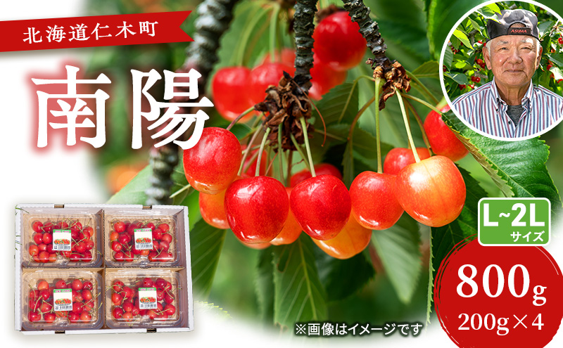 さくらんぼ【 南陽 】800g（200g×4）L-LLサイズ混合  サクランボ チェリー フルーツ 果物 果物類 ギフト 北海道 仁木町 仁木 [横山農園]