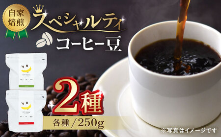 コーヒー[豆]自家焙煎スペシャルティコーヒー豆(250g×2種)約40杯分ZCJ015