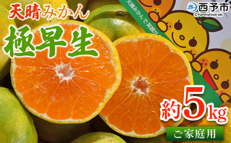 ＜天晴みかん 極早生 家庭用 約5kg＞ 温州ミカン 柑橘 果物 くだもの フルーツ 蜜柑 訳あり ワケアリ 自宅用 期間限定 季節限定 食べて応援 特産品 産地直送 ニコマル 株式会社笑丸 愛媛県 西予市【常温】『2025年9月下旬～10月中旬迄に順次出荷予定』AAN0024
