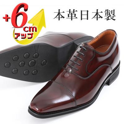 ふるさと納税 大和郡山市 牛革内羽根ストレートチップ 6cmアップシークレットシューズ No.1301 ワイン 23.5cm