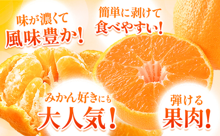 不知火 デコみかん ( デコポン と同品種 ) ご家庭用 訳あり 熊本県産 ( 苓北町産含む )約1.2kg(3-6玉前後) 柑橘 《2026年2月上旬-3月末頃出荷》 みかん フルーツ 不知火 訳ア