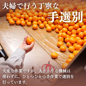 有田 みかん 小玉 1.8kg / 温州みかん 有田みかん 甘い 小粒 和歌山 柑橘 ※2026年12月上旬〜翌年1月上旬に順次発送 【ymk004-s-1d8】